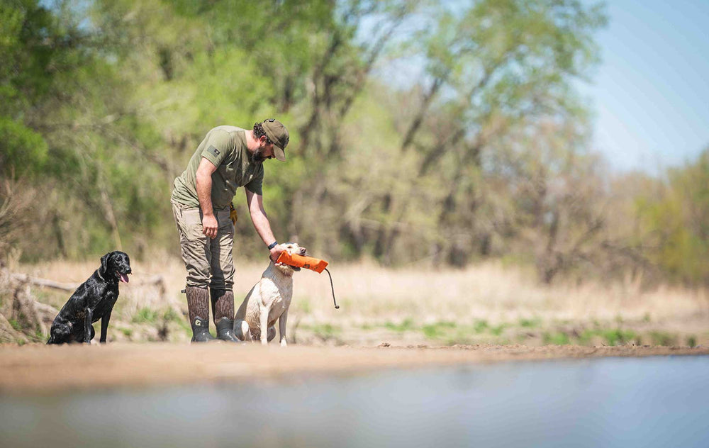 Summer Dog Training Tips – Gator Waders